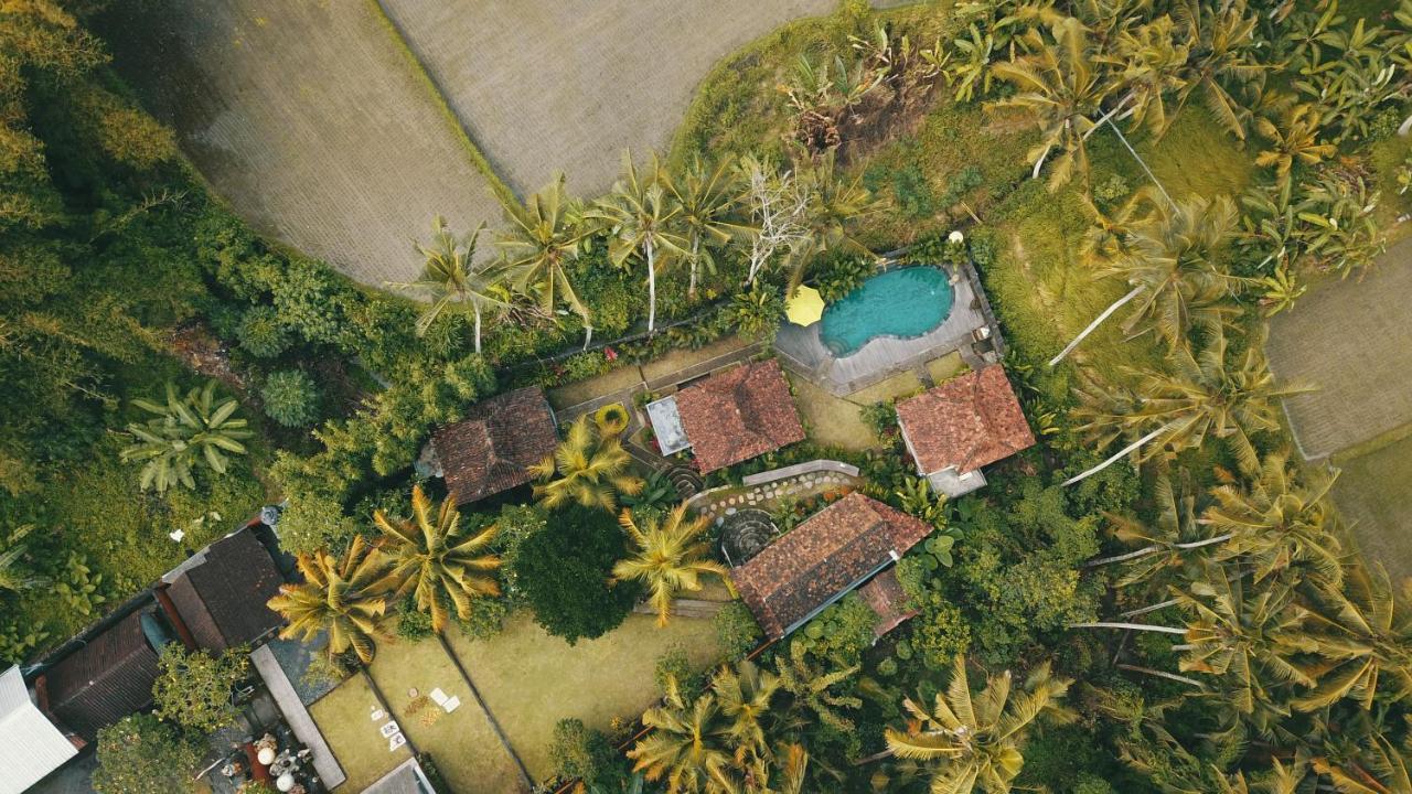 Puri Sundaram Villa أوبود المظهر الخارجي الصورة